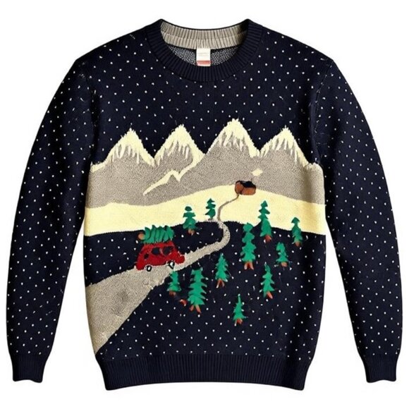 Hanna Andersson Men’s Sweater Size XL Excellent Christmas Tree Cotton/Wool Blend - Picture 1 of 8
